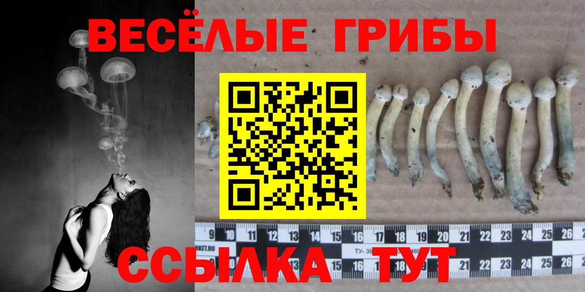 Галлюциногенные грибы Magic Shrooms Балабаново